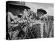 Young Fans Standing at Fence Which Borders Field at World Series Game, Braves vs. Yankees-Grey Villet-Premier Image Canvas