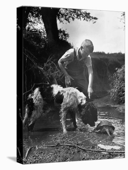 Young Farm Boy Watching His Dog Sniff a Large Turtle at the Pond-Myron Davis-Premier Image Canvas