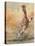 Young Giraffe Running-David Stribbling-Stretched Canvas