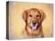 Young Golden Retriever Portrait-Jai Johnson-Premier Image Canvas