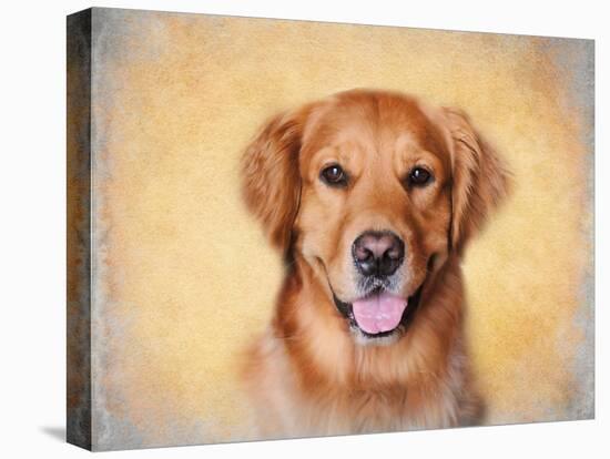 Young Golden Retriever Portrait-Jai Johnson-Premier Image Canvas