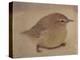 Young Goldfinch-Jennifer Kennard-Premier Image Canvas