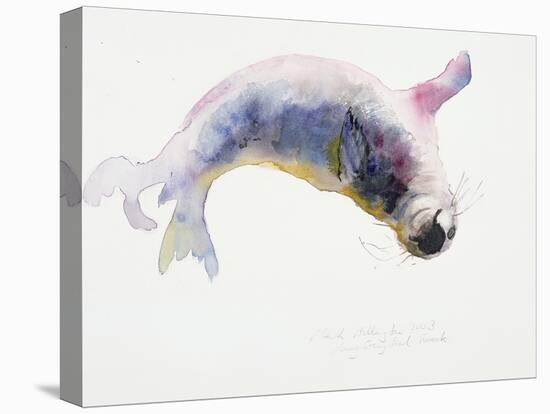 Young Grey Seal, Gweek, 2003-Mark Adlington-Premier Image Canvas