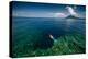 Young Lady Snorkeling over the Reef Wall in the Area of the Island of Bunaken, Sulawesi, Indonesia-Dudarev Mikhail-Premier Image Canvas