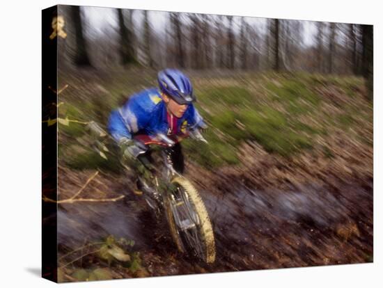 Young Male Recreational Mountain Biker Riding in the Forest-null-Premier Image Canvas