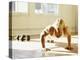 Young Man Preforming Push Up Exercise in Gym, New York, New York, USA-Chris Trotman-Premier Image Canvas