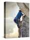 Young man rock climbing up a vertical cliff-null-Premier Image Canvas