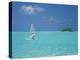 Young Man Windsurfing Near Tropical Island and Lagoon in the Maldives, Indian Ocean-Sakis Papadopoulos-Premier Image Canvas