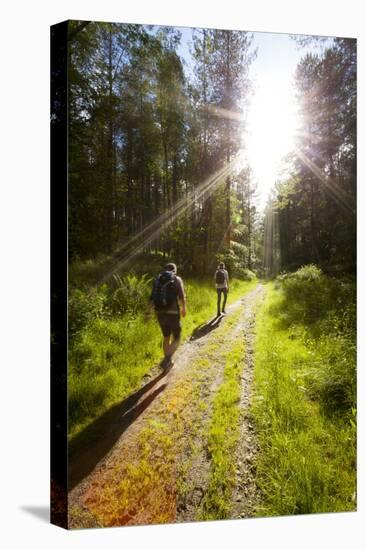 Young Men Hiking on an Outdoor Adventure Trail, the Chilterns, Buckinghamshire, England-Charlie Harding-Premier Image Canvas