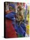 Young Monkey Sitting on Prayer Flags Tied on a Pole, Darjeeling, India-Eitan Simanor-Premier Image Canvas