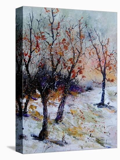 Young oaks in winter-Pol Ledent-Stretched Canvas