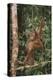 Young Orangutan in the Trees-DLILLC-Premier Image Canvas