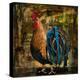 Young Rooster II-Jodi Monahan-Stretched Canvas
