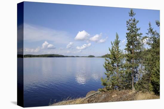 Young Scots Pine Trees (Pinus Sylvestris) Growing Near Rocky Shore of Lake Saimaa-Nick Upton-Premier Image Canvas