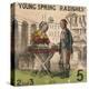 Young Spring Radishes!, Cries of London, C1840-TH Jones-Premier Image Canvas