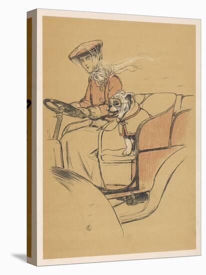 Young Woman and a White Bulldog in an Open Car-Cecil Aldin-Stretched Canvas