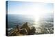 Young Woman Backpacking The Oregon Coast Trail. Oswald West State Park, OR-Justin Bailie-Premier Image Canvas