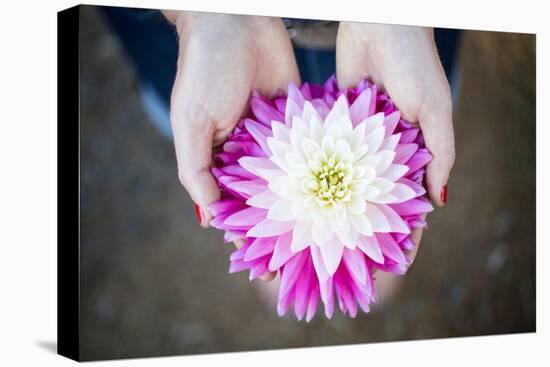 Young Woman Holding Flowers-Justin Bailie-Premier Image Canvas