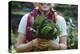 Young Woman Holding Fresh Vegetables Out Of The Garden-Justin Bailie-Premier Image Canvas