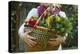 Young Woman Holding Fresh Vegetables Out Of The Garden-Justin Bailie-Premier Image Canvas