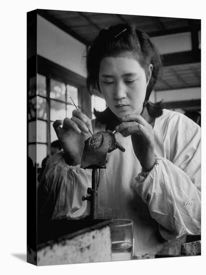 Young Woman Inserting Mother-Of-Pearl Bead into Live Oyster at Pearl Factory-Alfred Eisenstaedt-Premier Image Canvas
