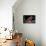 Young Woman Practicing Rock-Climbing on a Rock Wall Indoors-NejroN Photo-Premier Image Canvas displayed on a wall