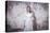 Young Woman Wearing White Dress-Sabine Rosch-Premier Image Canvas