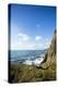 Young Women Hiking Along The Oregon Coast Trail. Oswald West State Park, OR-Justin Bailie-Premier Image Canvas