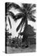 Young Women in Polynesian-Flapper Costumes Lounge under a Coconut Palm-null-Premier Image Canvas