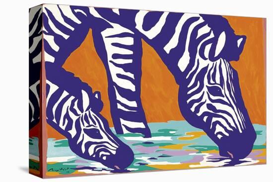 Young Zebra-Gerry Baptist-Stretched Canvas