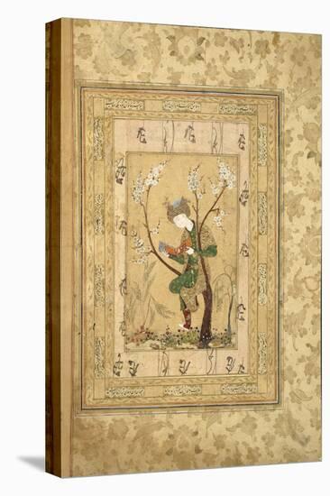 Youth Seated in the Fork of a Blossoming Tree, 1560S-null-Premier Image Canvas
