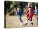 Youth Soccer-null-Premier Image Canvas