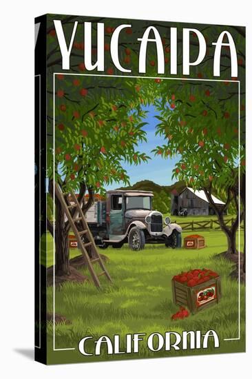 Yucaipa, California - Apple Orchard Harvest-Lantern Press-Stretched Canvas