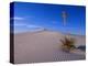 Yucca and Dunes, White Sands National Monument-Kevin Schafer-Premier Image Canvas