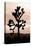 Yucca Brevifolia II-Erin Berzel-Premier Image Canvas
