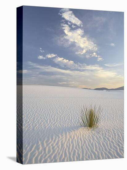 Yucca Growing in Rippled Sand, White Sands National Monument, New Mexico, USA-James Hager-Premier Image Canvas