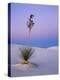 Yucca on Dunes at Dusk, Heart of the Dunes, White Sands National Monument, New Mexico, USA-Scott T^ Smith-Premier Image Canvas