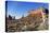 Yucca Plant with Sandstone Monument, Monument Valley Tribal Park, Arizona, USA-Paul Souders-Premier Image Canvas