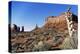 Yucca Plant with Sandstone Monument, Monument Valley Tribal Park, Arizona, USA-Paul Souders-Premier Image Canvas