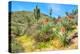 Yuccas-Anton Foltin-Premier Image Canvas