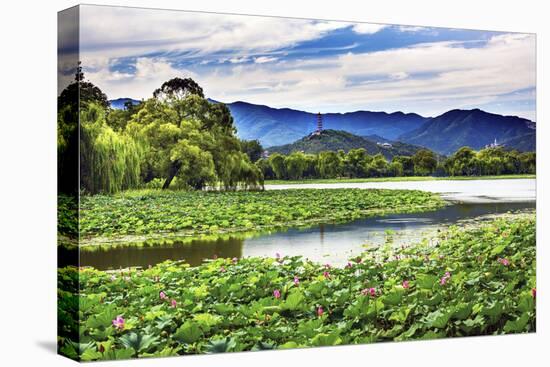 Yue Feng Pagoda Pink Lotus Pads Garden Reflection Summer Palace, Beijing, China-William Perry-Premier Image Canvas