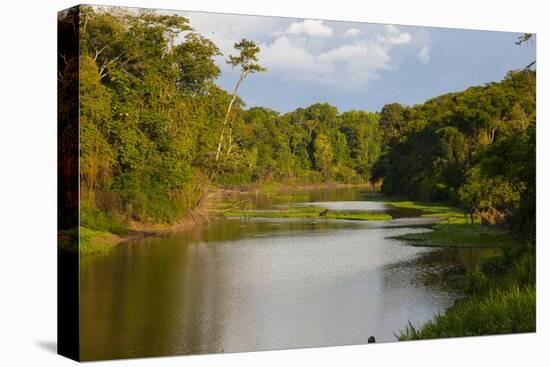 Yurapa River, a Tributary of the Ucayali River, Amazon Basin, Peru-Mallorie Ostrowitz-Premier Image Canvas