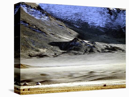 Yurts of One of the Eagle Hunters Grandfathers, Golden Eagle Festival, Mongolia-Amos Nachoum-Premier Image Canvas