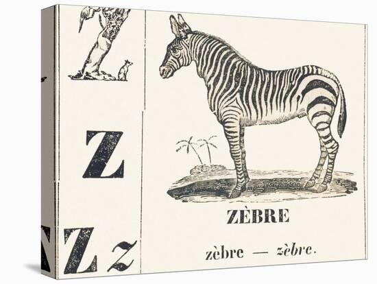 Z for Zebra, 1850 (Engraving)-Louis Simon (1810-1870) Lassalle-Premier Image Canvas