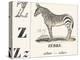 Z for Zebra, 1850 (Engraving)-Louis Simon (1810-1870) Lassalle-Premier Image Canvas