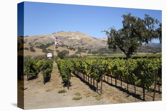 Zaca Mesa Winery and Vineyards-Stuart Black-Premier Image Canvas