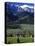 Zakopane, Tatra Mountains, Poland-Walter Bibikow-Premier Image Canvas