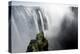 Zambezi River at Victoria Falls, Zimbabwe-Paul Souders-Premier Image Canvas