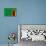 Zambia Flag Design with Wood Patterning - Flags of the World Series-Philippe Hugonnard-Stretched Canvas displayed on a wall