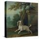 Zaza, the Dog, C.1730-Jean-Baptiste Oudry-Premier Image Canvas
